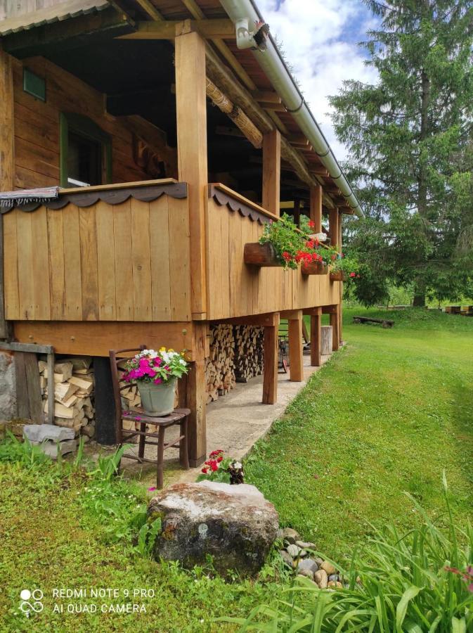 Dorina Hiza Villa Karlovac Buitenkant foto