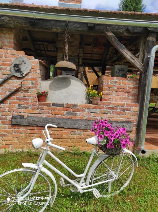 Dorina Hiza Villa Karlovac Buitenkant foto