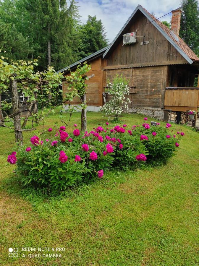 Dorina Hiza Villa Karlovac Buitenkant foto