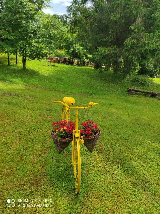 Dorina Hiza Villa Karlovac Buitenkant foto