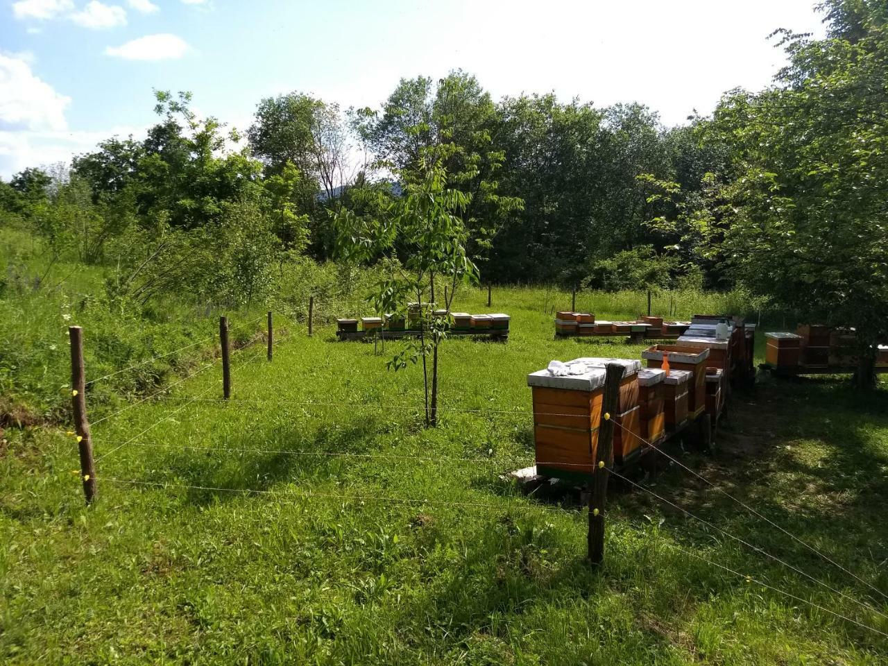 Dorina Hiza Villa Karlovac Buitenkant foto