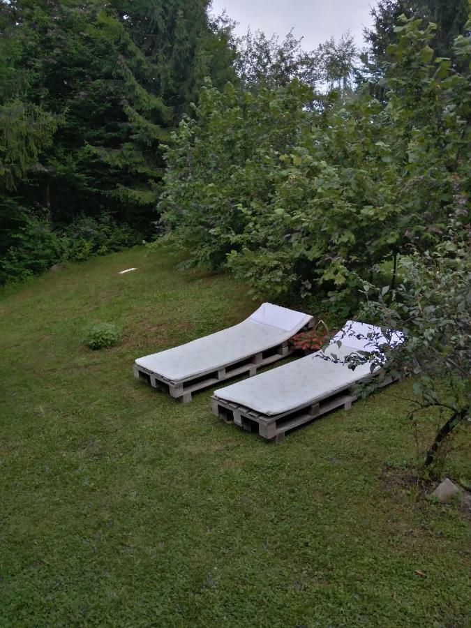 Dorina Hiza Villa Karlovac Buitenkant foto