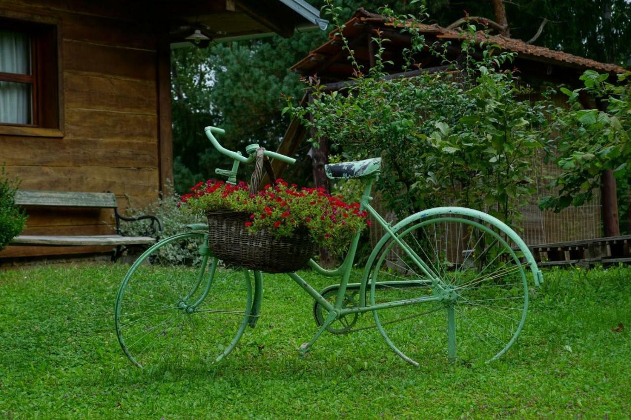 Dorina Hiza Villa Karlovac Buitenkant foto