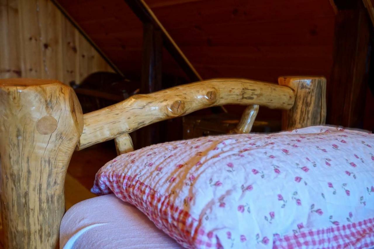 Dorina Hiza Villa Karlovac Buitenkant foto
